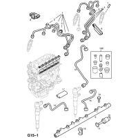   (.) - <I>Y25TD </I>