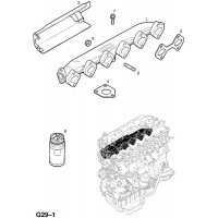   (.) - <I>Y25TD </I>