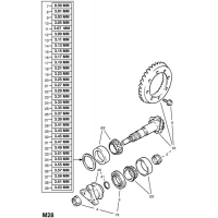     - <I>  -       Y25TD </I>