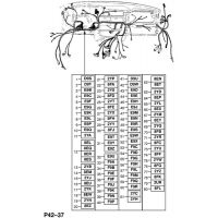     (.) - <I>Y25TD     </I>