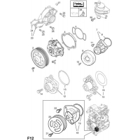    - <I>Y30DT  </I>