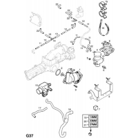    (.) - <I>Y22DTR  (    )</I>