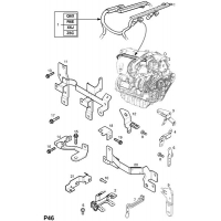      - <I>Z19DTH  </I>