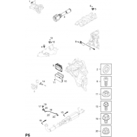       (.) - <I>  Z20DM[LMN]   </I>