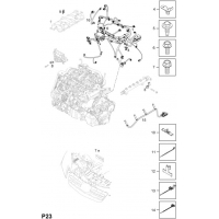     - <I>  Z20DM[LMN],Z20DMH[LLW]</I>