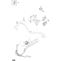    (.) - <I>Z17DTL[LRB],Z17DTH[LPZ]  </I>