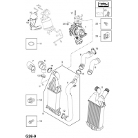  (.) - <I>Z17DTH[LPZ]  </I>