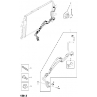     - <I>Z19DT[LPM]  </I>