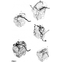      (.) - <I>  Z19DTL[LPP],Z19DT[LPM]</I>