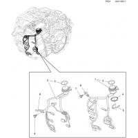     - <I>    AF40</I>