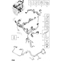      - <I>Z12XEP[LB4],Z14XEP[LJ2]  </I>