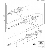     - <I>  F40    (A20DTR[LBY]  ) (    )</I>