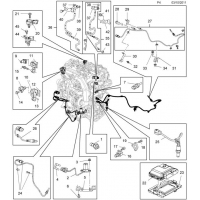       (.) - <I>A17DT[LUB],A17DTC[LUE],A17DTI[LPL],A17DTS[LUD]   (   )</I>