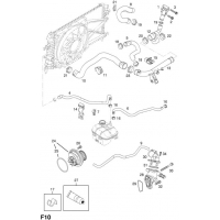    - <I>Z16YNG[LR1]    </I>