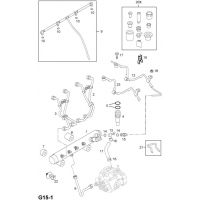   (.) - <I>Z17DTL[LRB] </I>