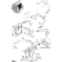  (.) - <I>Z17DTL[LRB] </I>