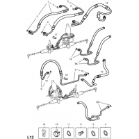        (.) - <I>DELPHI (       )</I>