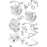    (.) - <I> Z22SE[L61]</I>