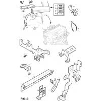      (.) - <I>Z16XEP[LJ7] </I>