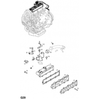   (.) - <I>Y17DT[LR6],Y17DTL[LK8]  </I>