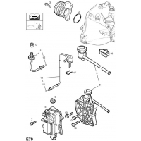    - <I>    EASYTRONIC</I>