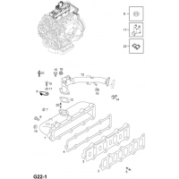   (.) - <I>Y17DT[LR6]  </I>