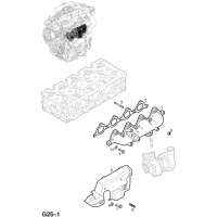   (.) - <I>Z17DTH[LPZ]  </I>
