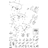     (.) - <I> (Z17DTH[LPZ]  )</I>
