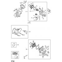 ,      - <I>Z16XEP[LJ7]  </I>