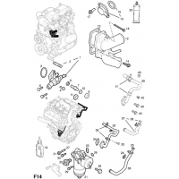 ,      (.) - <I>Z30DT[LDH]  </I>