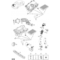  (.) - <I>Z19DTL[LPP],Z19DT[LPM],Z19DTH[LRD]  </I>