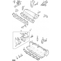   (.) - <I>Z19DTH[LRD]  </I>