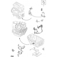    (.) - <I>Z20NET[LQ8]  </I>
