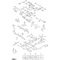       - <I>Z30DT[LDH]  </I>